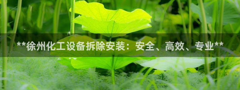 新城平台注册资金多少亿：**徐州化工设备拆除安装：