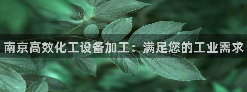 新城平台注册公司流程图：南京高效化工设备加工：满足