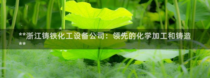 新城平台平台