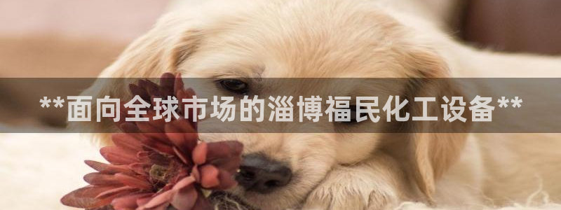 新城平台计7O777：**面向全球市场的淄博福民化