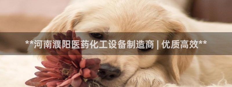 新城平台线路登录不上去