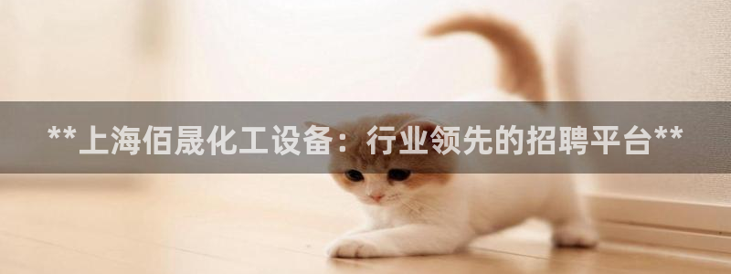 新城平台代理注册条件：**上海佰晟化工设备：行业领