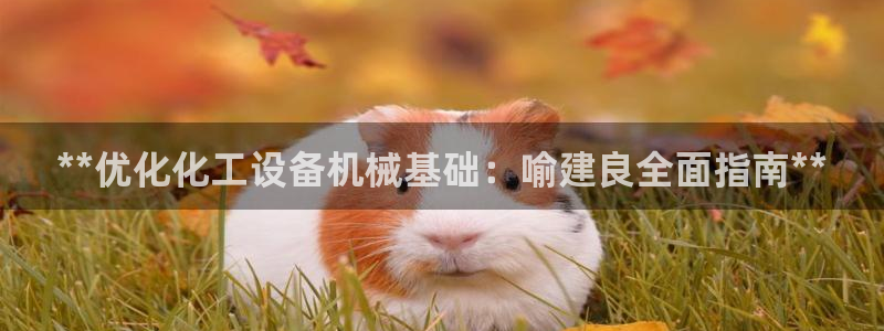 新城平台登录密码忘了怎么办：**优化化工设备机械基础：喻建良