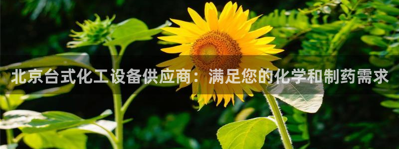 新城平台登录入口官网查询信息