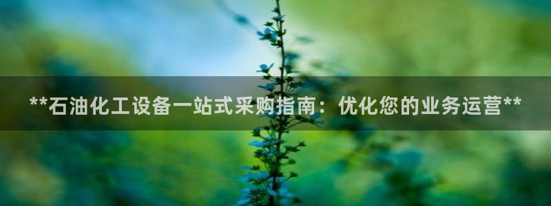新城平台注册登录地址怎么填