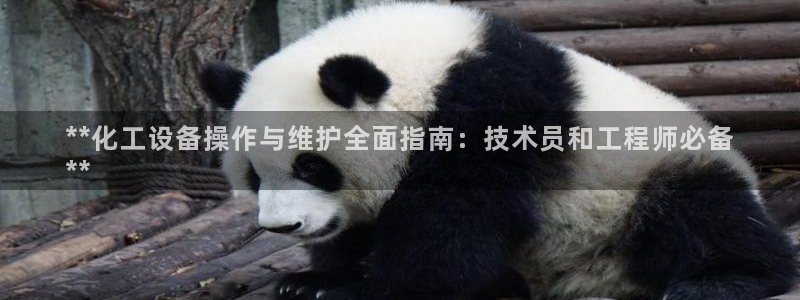 新城平台分分彩