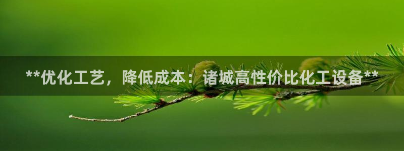 新城平台负责人电话