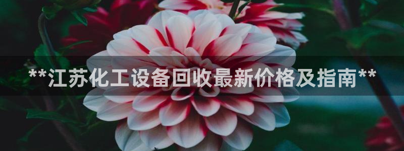 新城平台线路登录不上去怎么回事呢