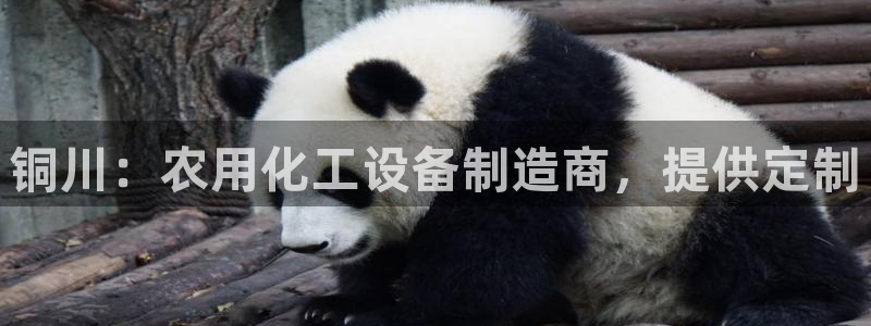 新城平台登录密码忘了怎么找回