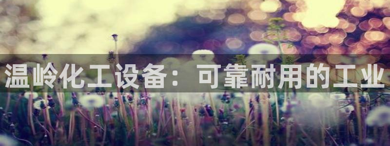 新城平台代理