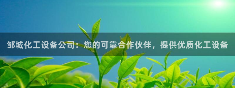 新城平台注册资金多少钱：邹城化工设备公司：您的可靠