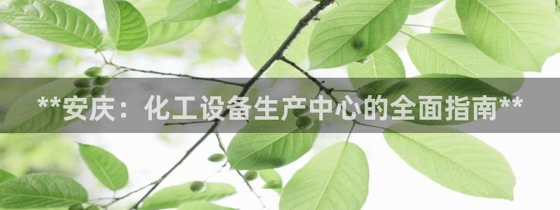 新城平台登录入口：**安庆：化工设备生产中心的全面