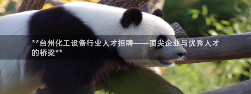 新城平台登录入口官网下载