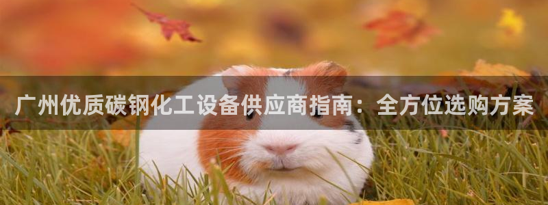 新城平台代理怎么做