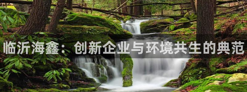 新城平台官网首页：临沂海鑫：创新企业与环境共生的典