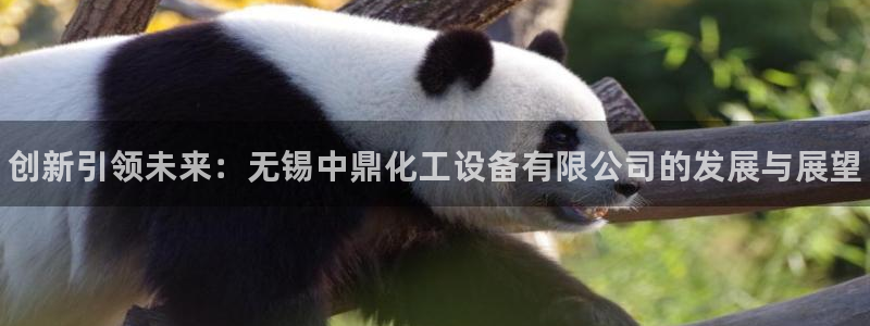 新城平台注册公司流程及费用