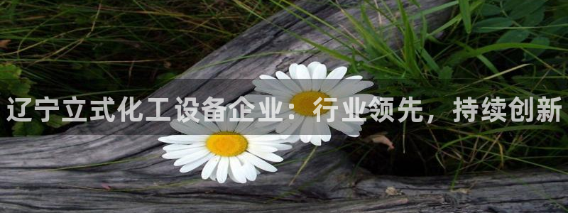 新城平台企业信息查询：辽宁立式化工设备企业：行业领