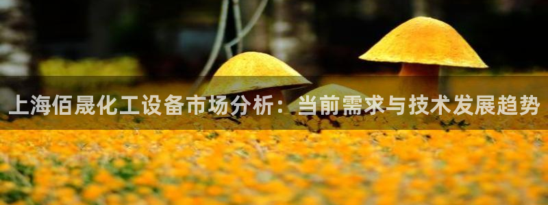 新城平台平台最新活动