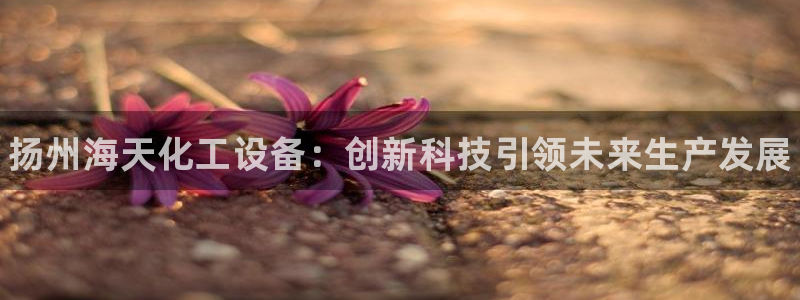 新城平台登录入口