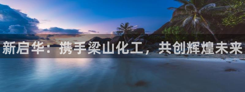 新城平台绝7O777：新启华：携手梁山化工，共创辉