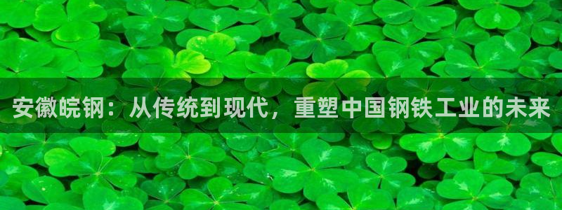 新城平台负责人名单