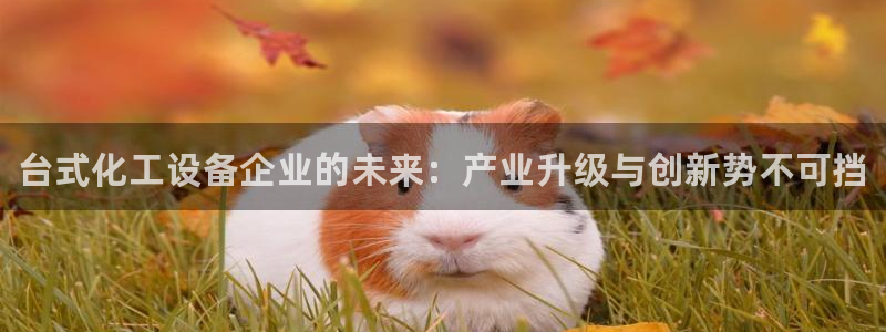 新城平台记7O777