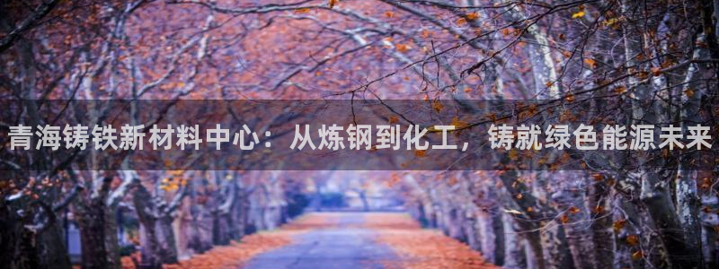 新城平台入.新城平台.全国联网是什么意思