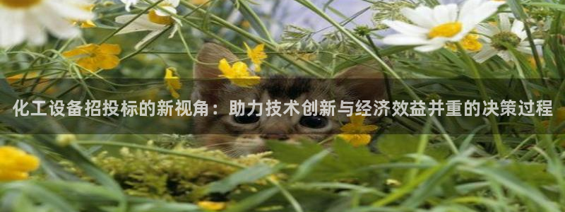 新城平台线路登录不上去了怎么回事