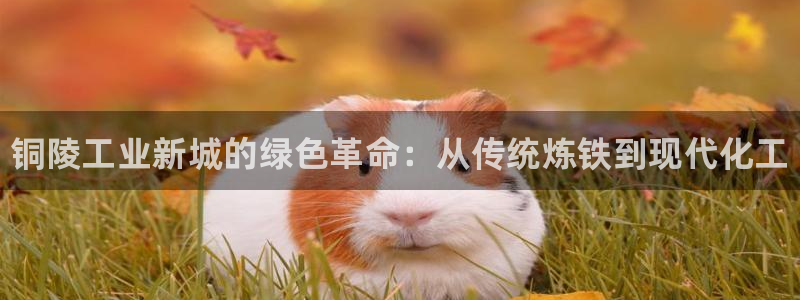 新城平台入.新城平台.全国联网是什么意思