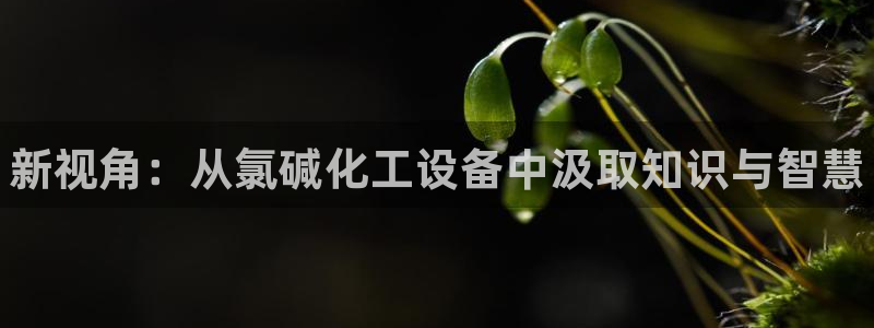 新城平台招商：新视角：从氯碱化工设备中汲取知识与智