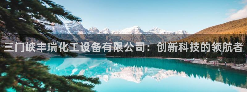 新城平台登录入口官网网址查询