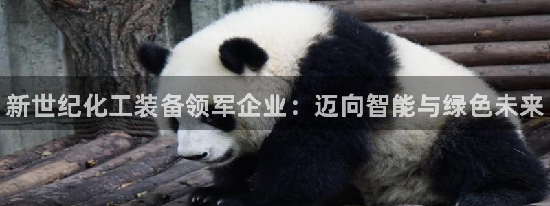 新城平台价7O777