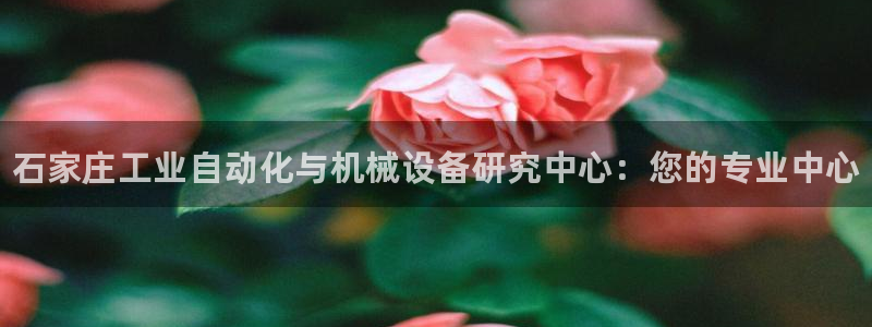 新城平台注册资金多少亿：石家庄工业自动化与机械设备