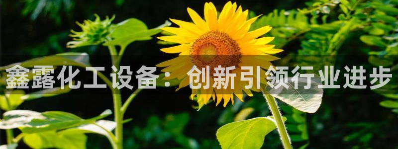 新城平台登录入口官网下载手机版：鑫露化工设备：创新