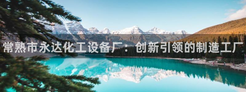 新城平台官网首页登录：常熟市永达化工设备厂：创新引