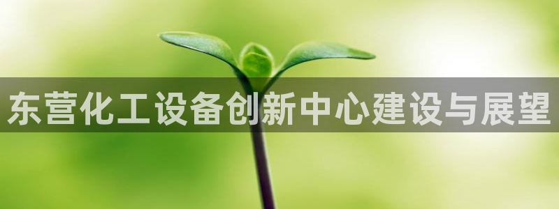 新城平台登录入口官网查询