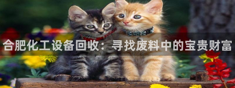 新城平台登录入口官网网址查询