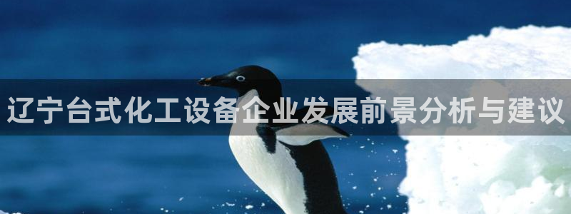 新城平台线路登录不上去怎么回事：辽宁台式化工设备企