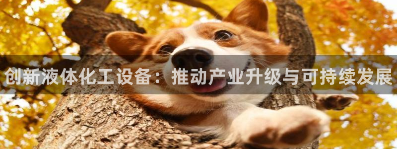 新城平台线路登录不上去：创新液体化工设备：推动产业升级与可持