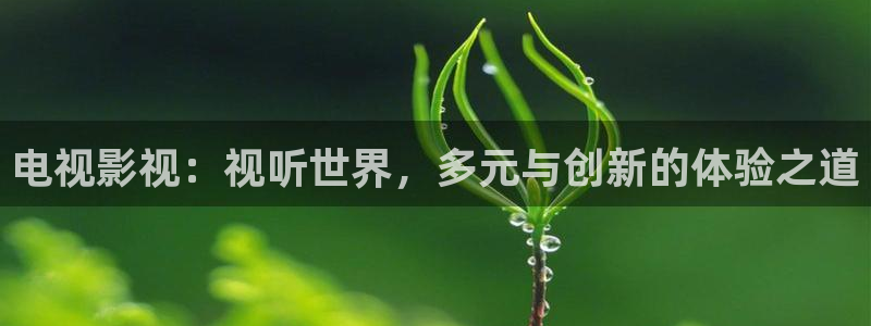 噜噜影院在线：电视影视：视听世界，多元与创新的体验之道