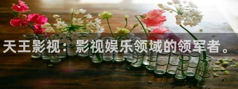 噜噜噜影院在线观看：天王影视：影视娱乐领域的领军者。